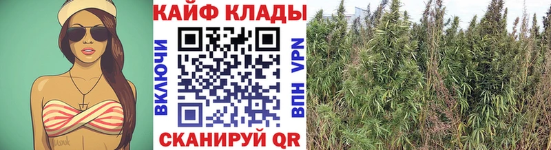 Купить наркотик Егорьевск КОКАИН omg рабочий сайт МАРИХУАНА ГАШИШ