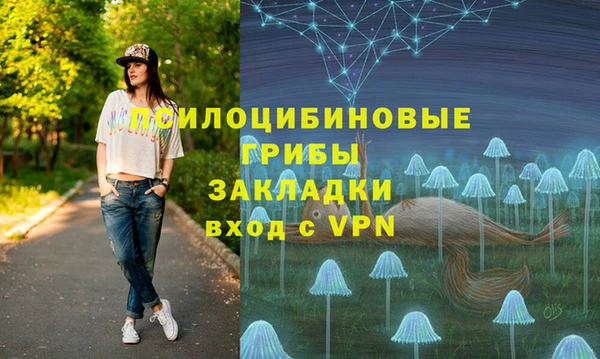 сатива Алексеевка