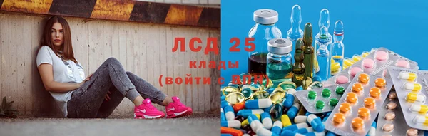 сатива Алексеевка