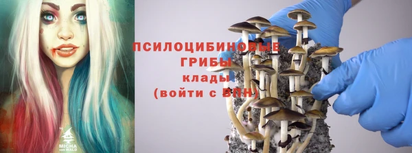 сатива Алексеевка