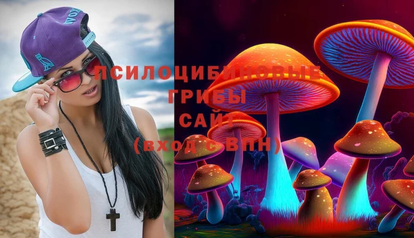 сатива Алексеевка