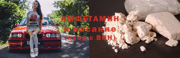 сатива Алексеевка