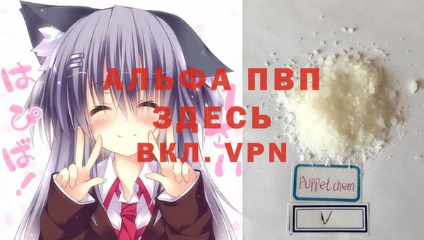 сатива Алексеевка