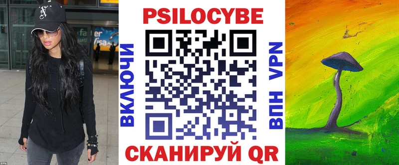 Галлюциногенные грибы Psilocybine cubensis  Егорьевск 